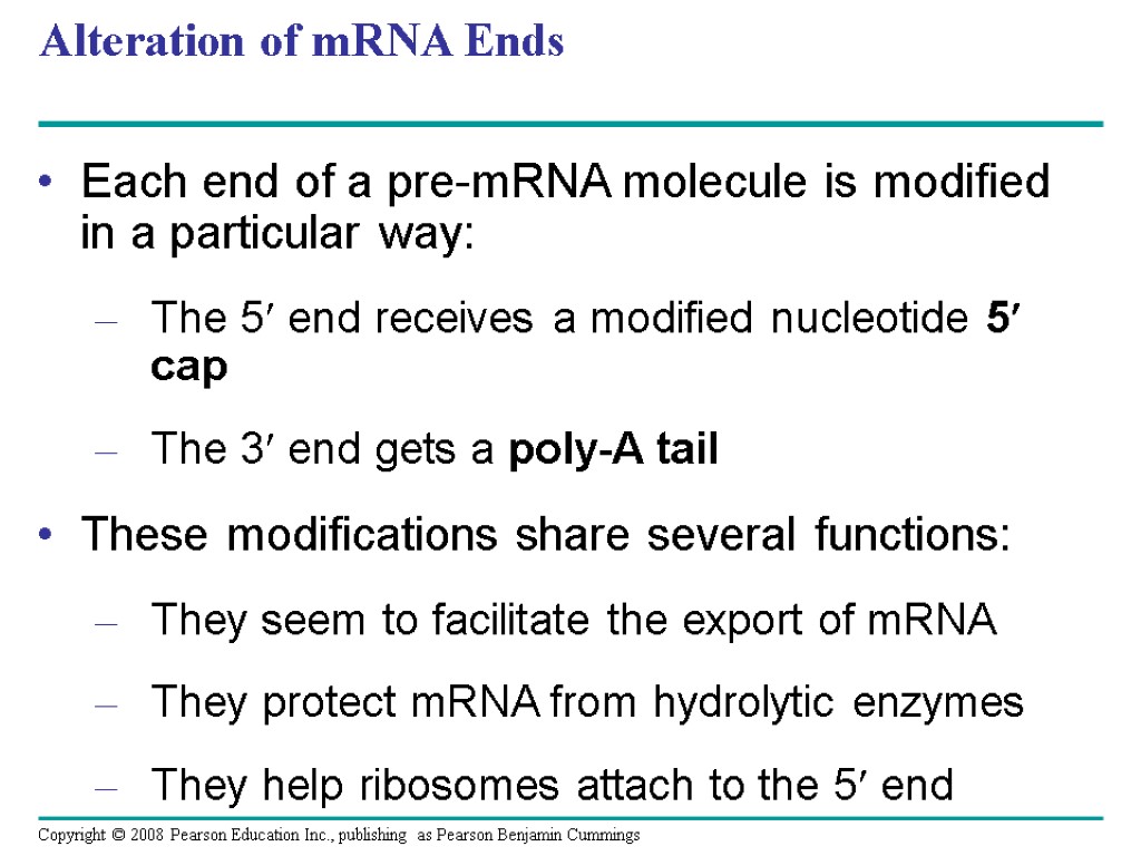 Alteration of mRNA Ends Each end of a pre-mRNA molecule is modified in a